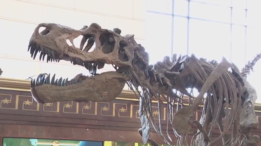 Texas Science and Nat'l History Museum opens